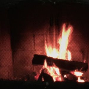 Meet your Posher, Audrey